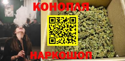 мет Гай
