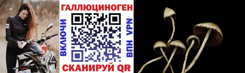 Псилоцибиновые грибы мицелий  купить наркотик  мега маркетплейс  Дубна 