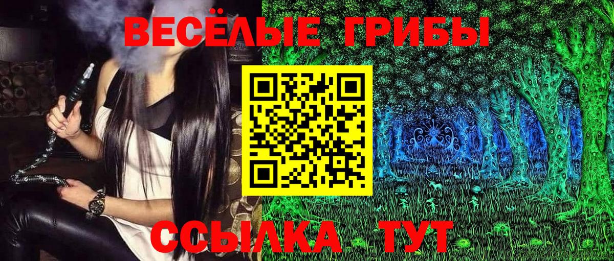 Псилоцибиновые грибы Cubensis Дубна