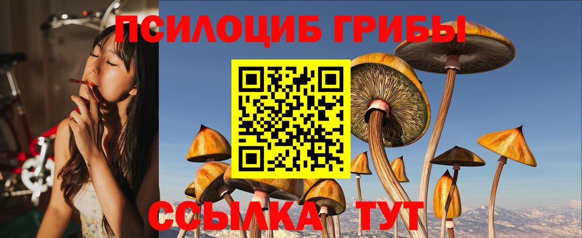 Галлюциногенные грибы Psilocybine cubensis  Вход с VPN  Дубна  Галлюциногенные грибы Magic Shrooms 